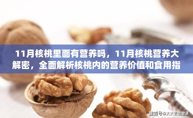 在线留言 第251页