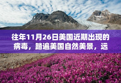草间求活 第3页
