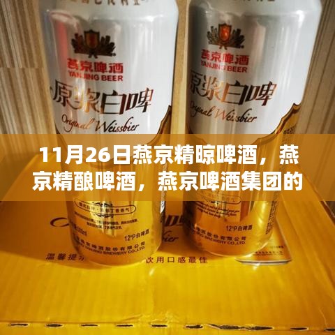 运输网络 第220页
