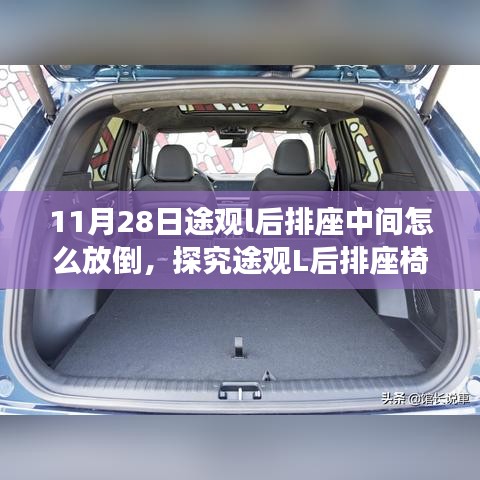 运输网络 第219页