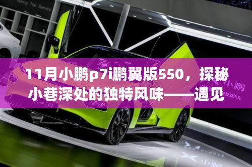 运输网络 第217页