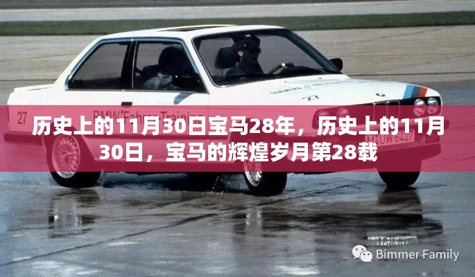 龙飞凤舞 第5页