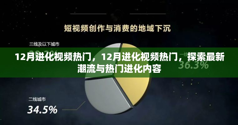 公司简介 第216页