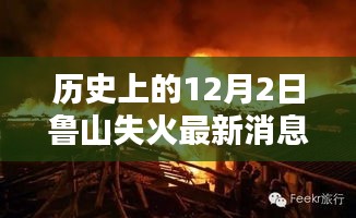 自作主张 第4页