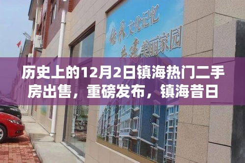 镇海热门二手房重磅发布，昔日盛景再现，智能交易系统革新体验日来袭