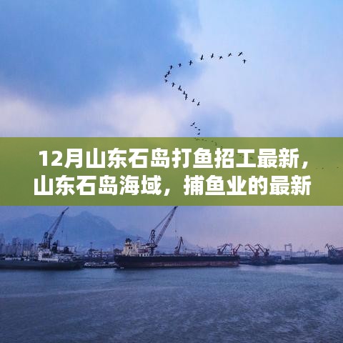 运输网络 第207页