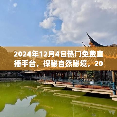 运输网络 第204页