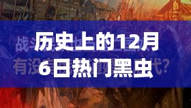 探寻热门黑虫背后的故事与争议，历史上的十二月六日回顾