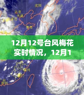 洵属可贵 第3页