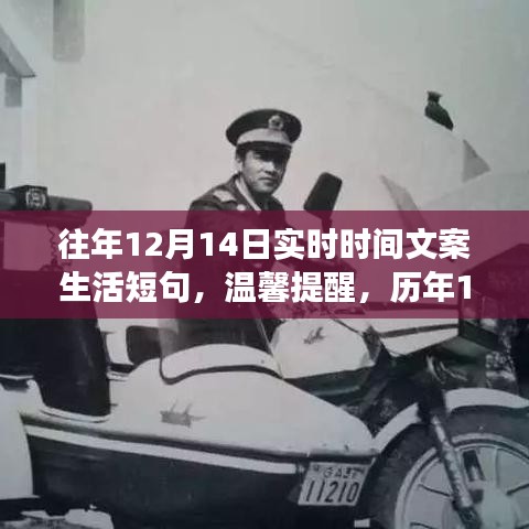 莺啼鸟啭 第3页