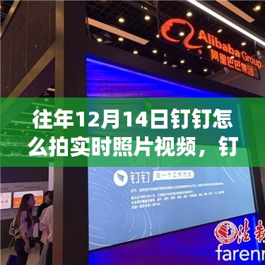 揭秘往年12月14日钉钉实时照片视频功能，体验科技魅力，教你如何轻松拍摄与分享视频照片