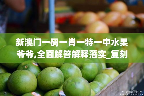新澳门一码一肖一特一中水果爷爷,全面解答解释落实_复刻版4.775
