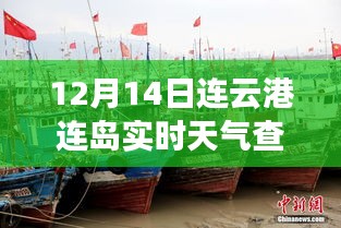 产品中心 第189页