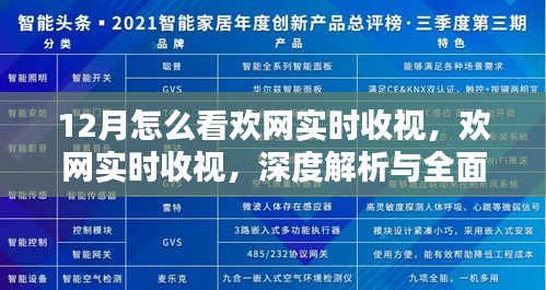深度解析与全面评测，欢网实时收视数据，掌握十二月收视动向