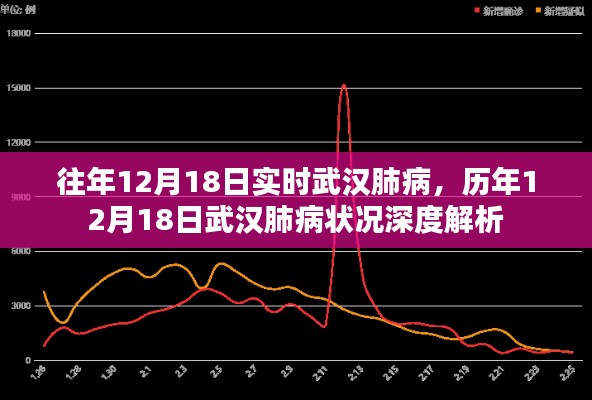 历年12月18日武汉肺病深度解析与实时状况探讨