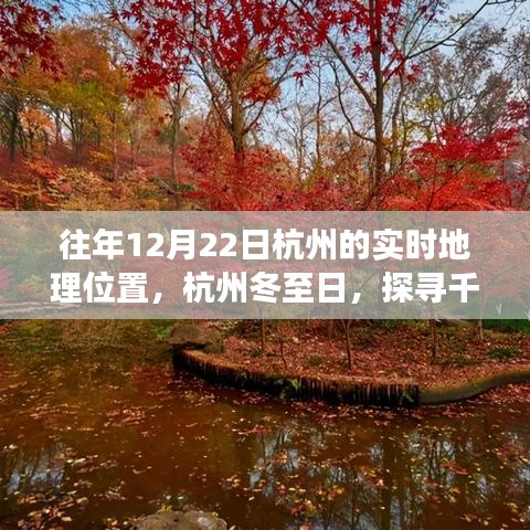 流光飞舞 第3页