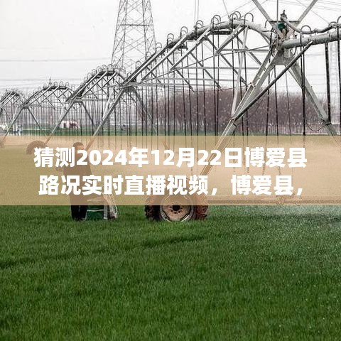 博爱县未来路况预测，2024年12月22日博爱县路况实时直播解析