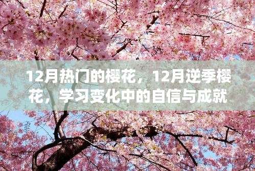 鼓舞人心的旅程，逆季樱花下的自信与成就感之路