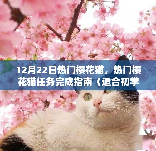 运输网络 第142页
