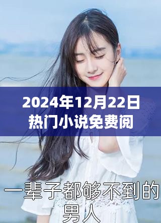 夏星辰热门小说免费阅读指南，2024年12月22日一站式攻略