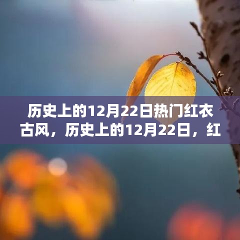 历史上的红衣古韵璀璨时刻，12月22日的璀璨记忆🌟