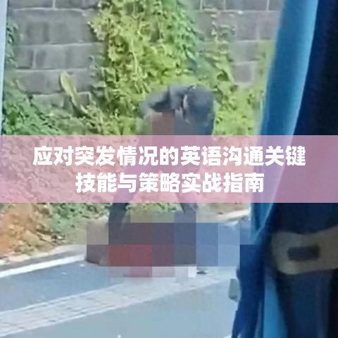应对突发情况的英语沟通关键技能与策略实战指南