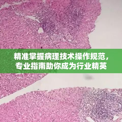 在线留言 第129页