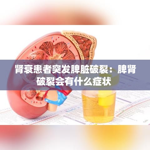 运输网络 第124页