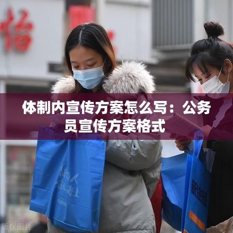 体制内宣传方案怎么写：公务员宣传方案格式 
