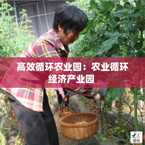 厂房环境 第119页
