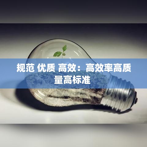 规范 优质 高效：高效率高质量高标准 