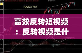 高效反转短视频：反转视频是什么意思 