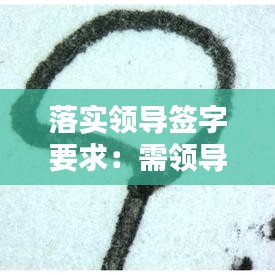 落实领导签字要求：需领导签字的报告格式 