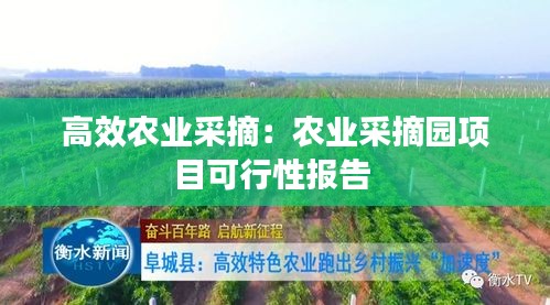 五侯七贵 第2页