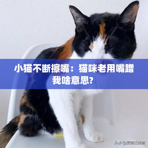 字斟句酌 第2页