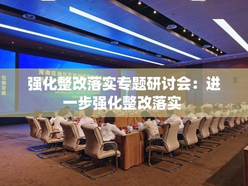强化整改落实专题研讨会：进一步强化整改落实 