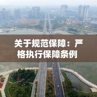 关于规范保障：严格执行保障条例 