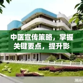 中医宣传策略，掌握关键要点，提升影响力与吸引力！