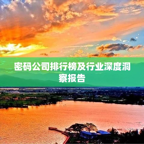 密码公司排行榜及行业深度洞察报告