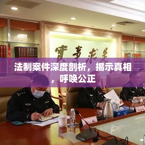 法制案件深度剖析，揭示真相，呼唤公正