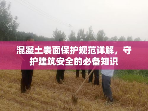混凝土表面保护规范详解，守护建筑安全的必备知识