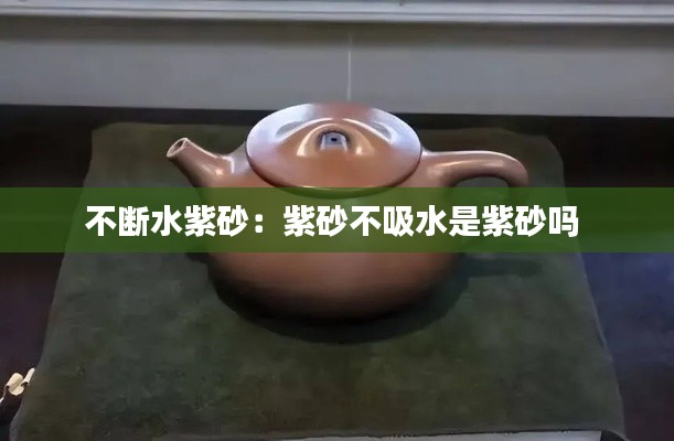 公司简介 第81页