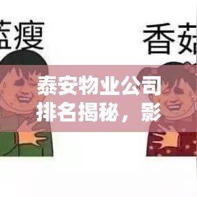 泰安物业公司排名揭秘，影响力与服务质量一览