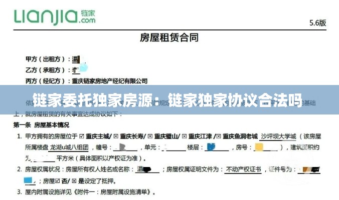 衣无二彩 第2页