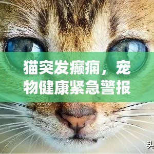 秀才人情纸半张 第2页