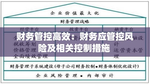 财务管控高效：财务应管控风险及相关控制措施 