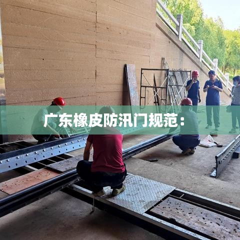 广东橡皮防汛门规范： 