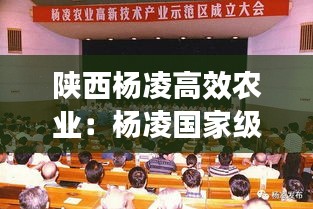 硕果仅存 第2页