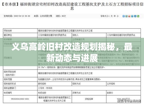 义乌高岭旧村改造规划揭秘，最新动态与进展