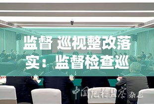 监督 巡视整改落实：监督检查巡察整改后半篇文章 